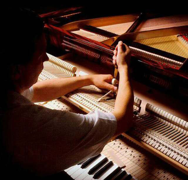 钢琴界：教学琴和私人练习